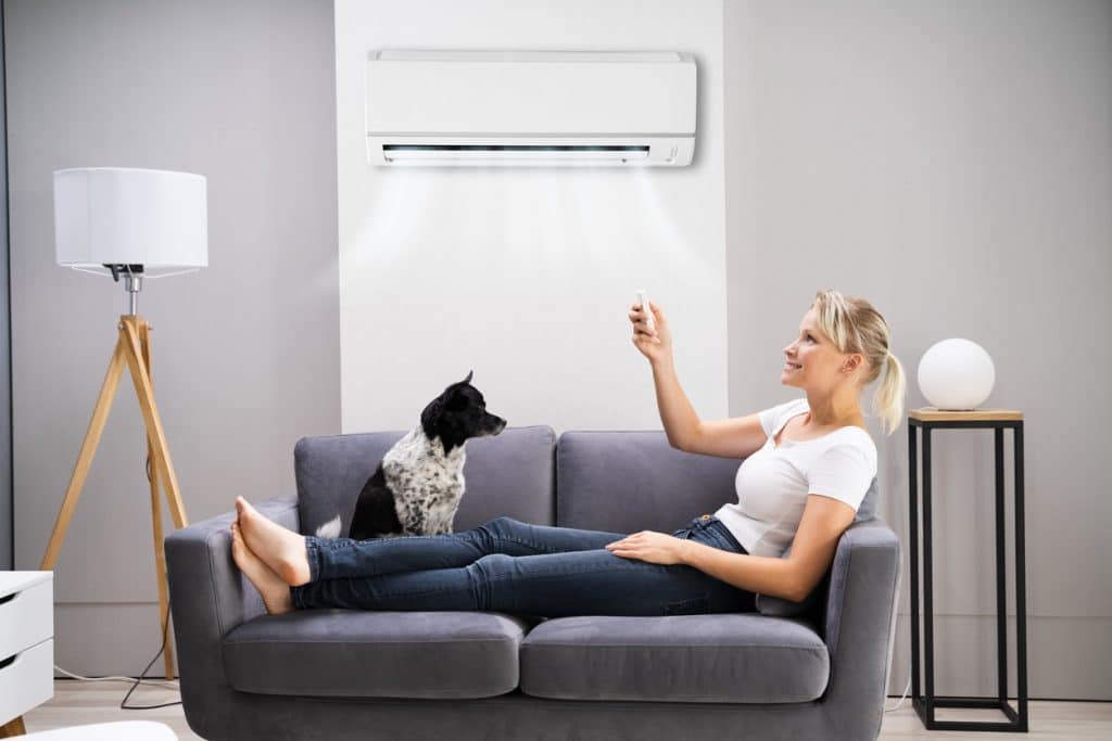 HVAC Maintenance Tips for Pet Owners