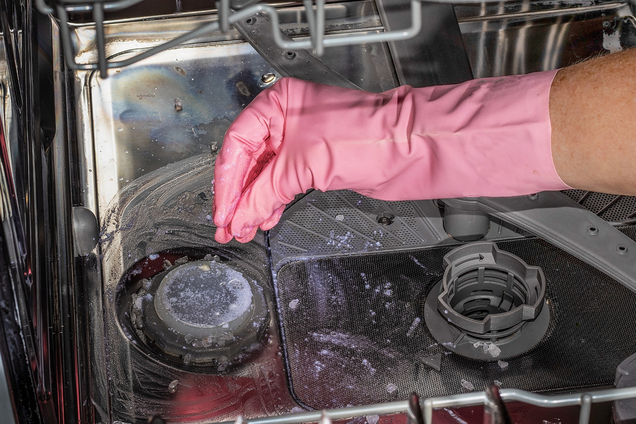 Reasons for a Dishwasher Clog & How to Fix it