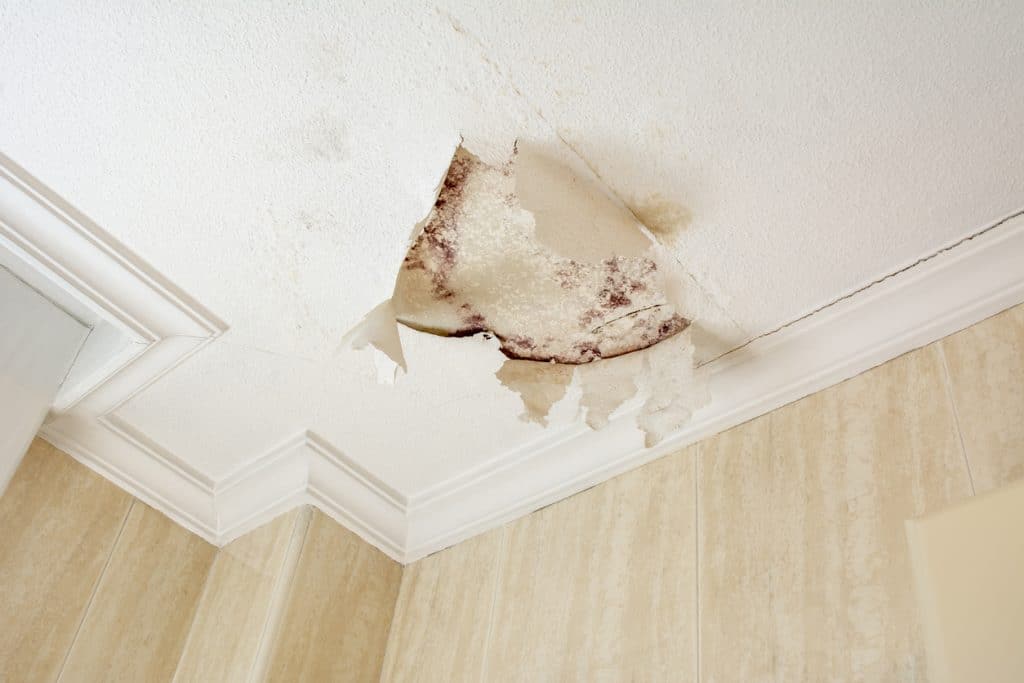 Best Bathroom Mold Prevention Tips