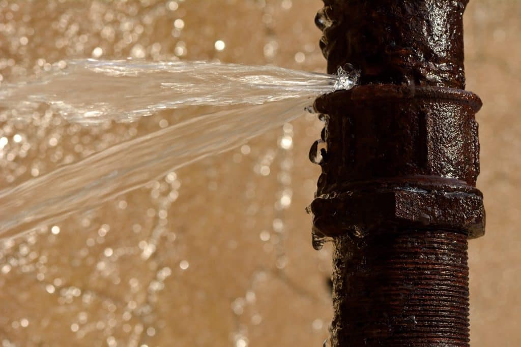 Main Causes Of Sewer Damage