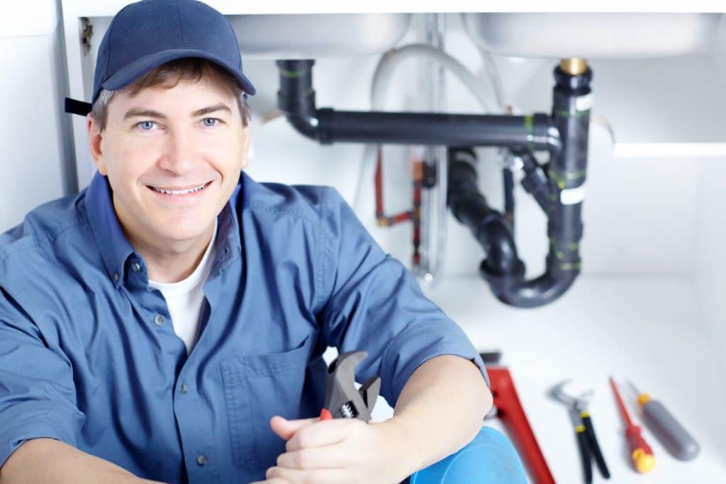 3 Ways to Avoid Pest Infestation