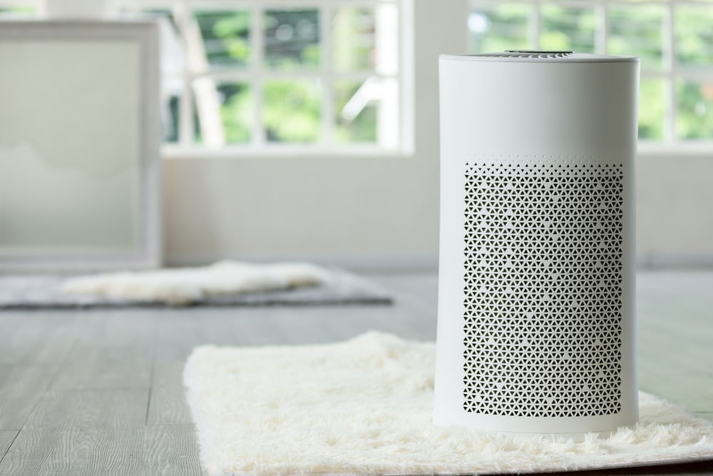 Whole-home air purification system